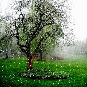 Meet your Posher, Alexia